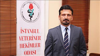 İstanbul Veteriner Hekimler Odası'ndan Kurban Bayramı değerlendirmesi