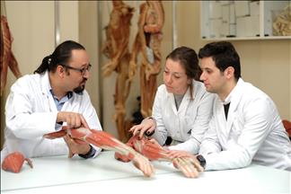 Merkezi Yerlestirme Puaniyla Yatay Gecis Yeditepe Universitesi