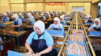 dardanel cirosunu bir yilda yuzde 96 artirdi