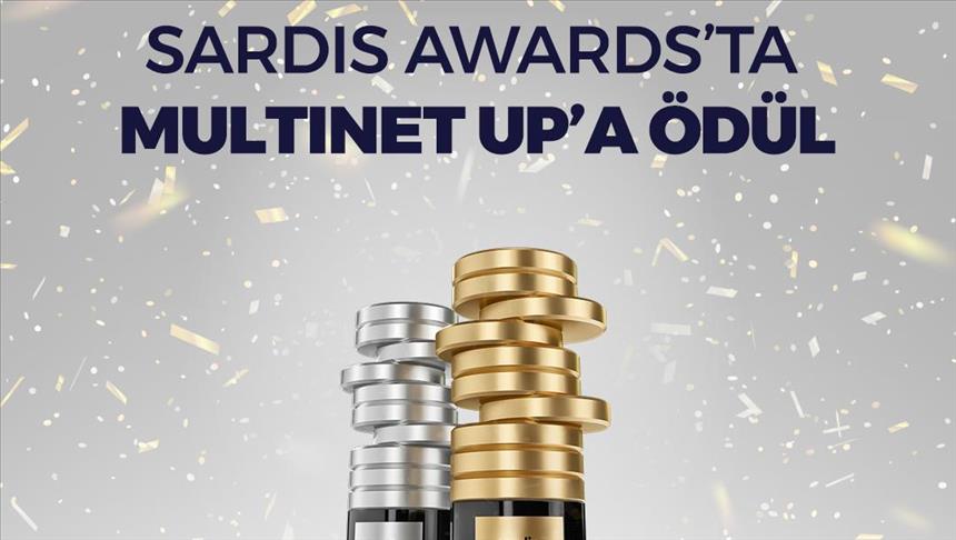 Multinet Up, "PULSE" ile Sardis Ödülü kazandı 