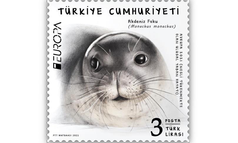 PTT, "En İyi Avrupa Pulu Yarışması"na "Akdeniz foku" görseliyle katıldı