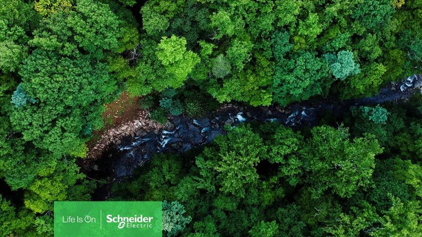 Schneider Electric global biyoçeşitlilik kaybıyla mücadele taahhüdünü açıkladı