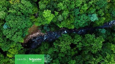 Schneider Electric'in,global biyoçeşitlilik kaybıyla mücadele taahhüdü