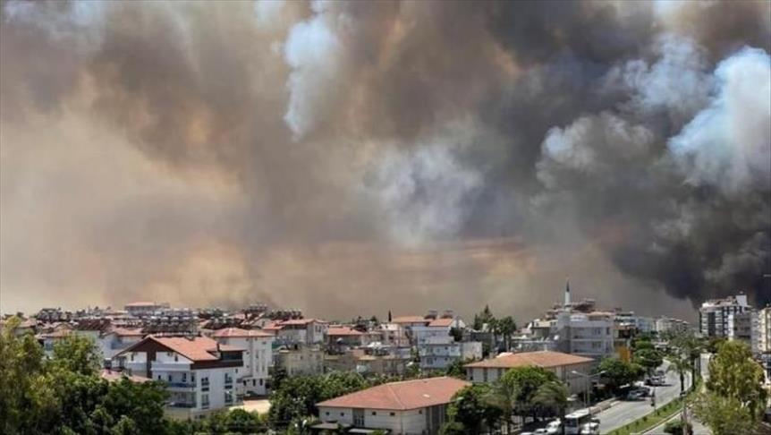 Bağcılar Belediyesinden yanan ormanlar için 20 bin fidan bağışı