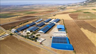 CW Enerji, Burpa Süt Ürünleri'nin fabrika çatısına GES kurdu