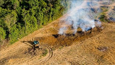 Uzman akademisyenler "orman yangınlarıyla mücadele" için buluştu 