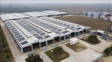CW Enerji, Tabiat Tarım firmasının çatısına güneş santrali kurdu