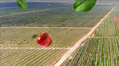 Hindistan'da elma üretimi için Türk-Hint ortak girişimi kuruldu