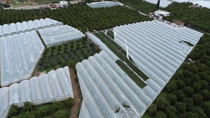 TARSİM'den sera üreticilerine 165 milyon TL hasar ödemesi