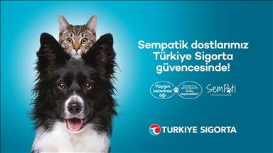 Türkiye Sigorta’dan evcil hayvanlara özel sigorta