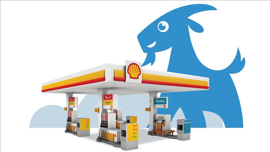 Sigortam.net müşterilerine Shell'den hediye yakıt