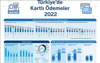 Türkiye'de kartlı ödemeler 2022'de büyümeye devam etti