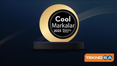 Türkiye'nin "en cool markası" yine Teknosa oldu