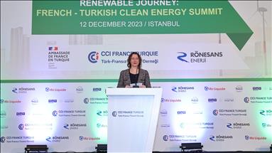 Fransız-Türk Temiz Enerji Zirvesi sektör paydaşlarını buluşturdu