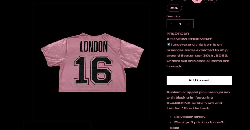 Kaspersky'den "çevrim içi mağazalardan alışveriş yaparken dikkat" uyarısı 