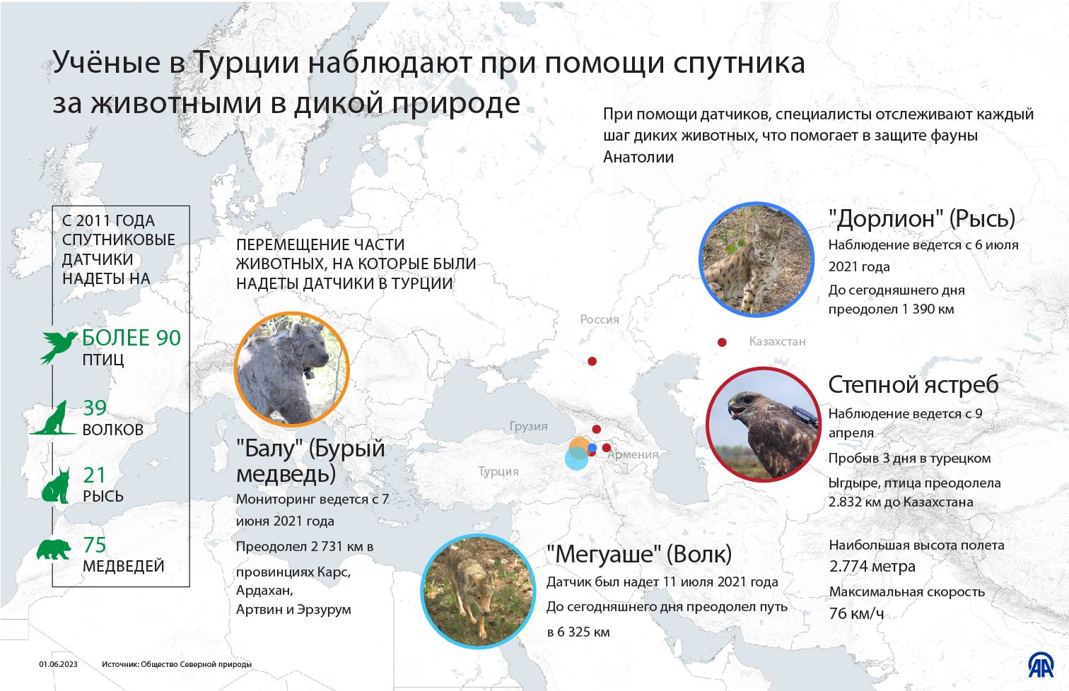 Поставщики с турции телеграмм фото 95