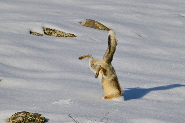 008_2024/01_ARALIK/12/DOGAL YASAM-ÇEVRE/CEVRE00004.jpg (750×500)