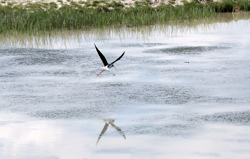 Xxx Ray porno Jinsiy porno: onasi uyda bolganida ogay ota qizini sikadi