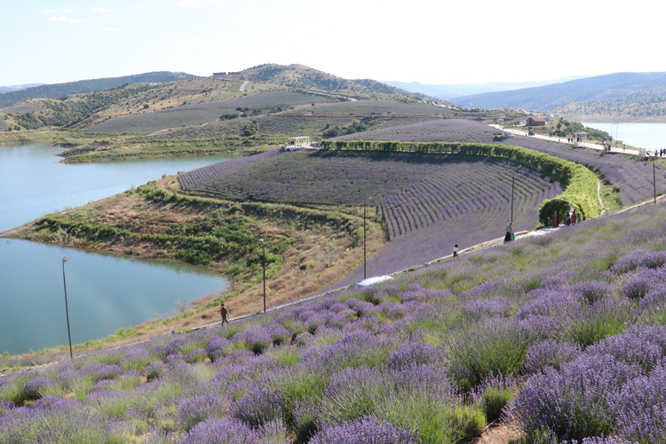 Warcraft 3 Jaina porno com tomonidan uy porno